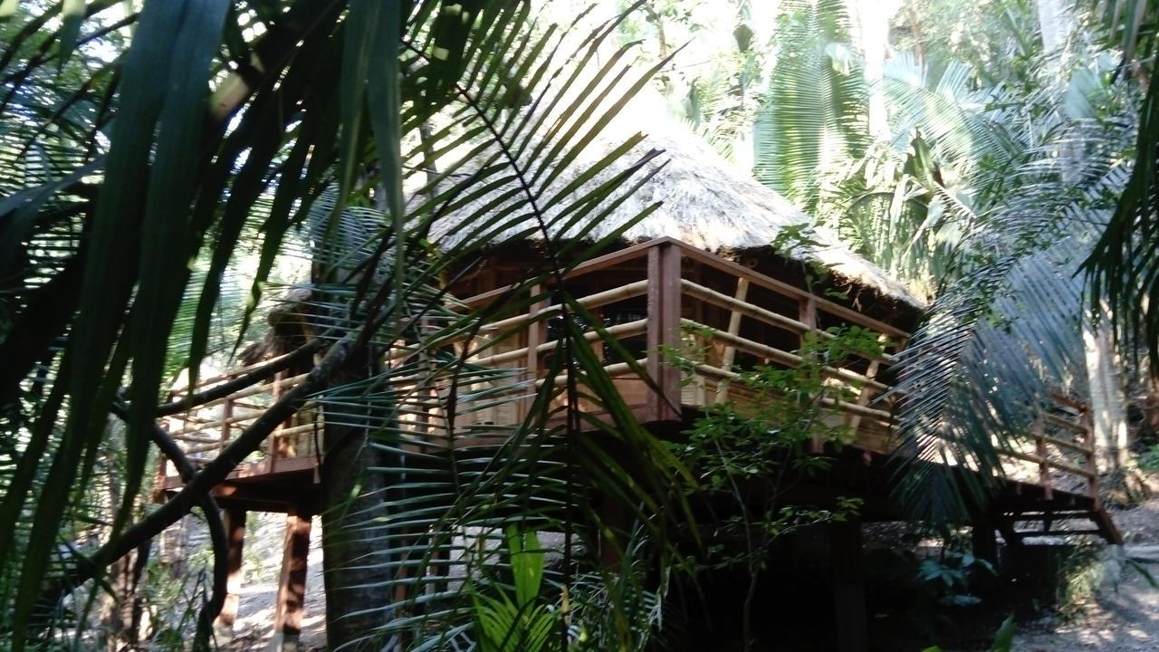 Aldea Bamboo Village 圣法兰西斯克 外观 照片